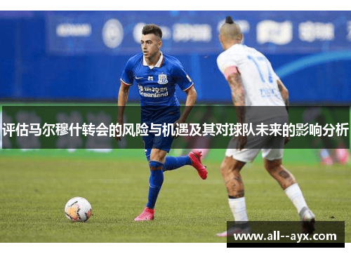 评估马尔穆什转会的风险与机遇及其对球队未来的影响分析 评估马尔穆什转会的风险与机遇及其对球队未来的影响分析