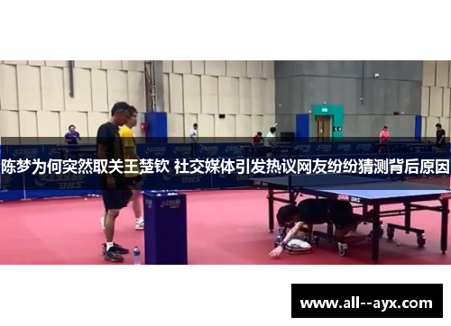 陈梦为何突然取关王楚钦 社交媒体引发热议网友纷纷猜测背后原因 陈梦为何突然取关王楚钦 社交媒体引发热议网友纷纷猜测背后原因