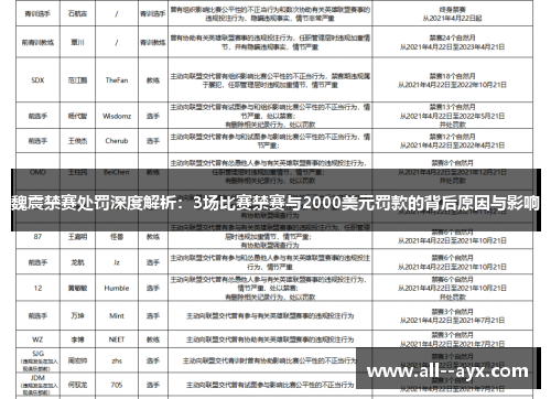 魏震禁赛处罚深度解析：3场比赛禁赛与2000美元罚款的背后原因与影响