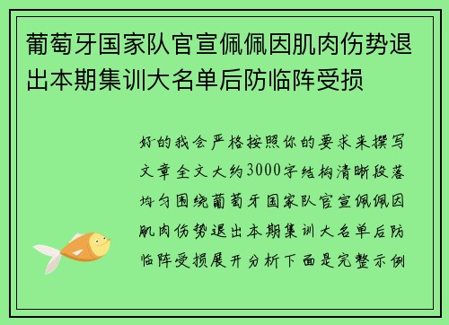 葡萄牙国家队官宣佩佩因肌肉伤势退出本期集训大名单后防临阵受损